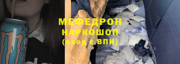 сатива Коряжма