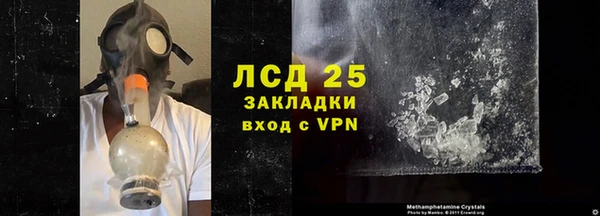 сатива Коряжма