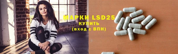 сатива Коряжма