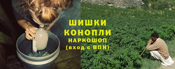 амф Краснослободск