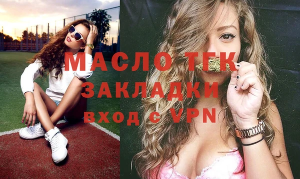 сатива Коряжма