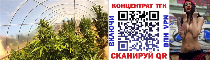 ТГК вейп с тгк  Купить закладки  Пионерский 